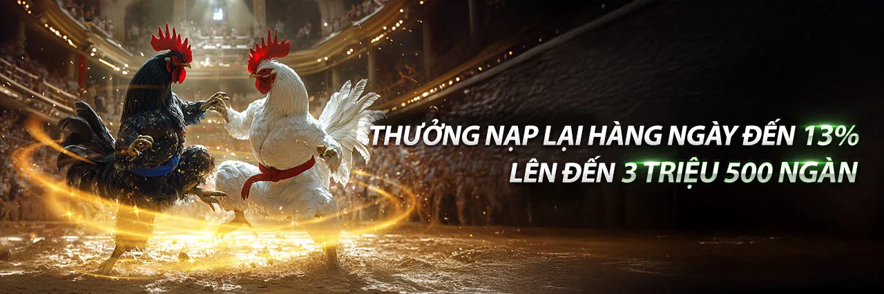 Đối tác Bong888