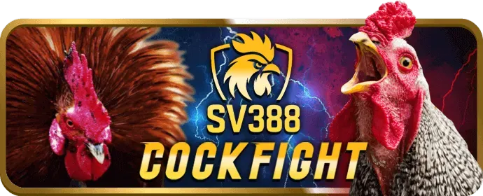 Hoàn trả hàng ngày Bong888