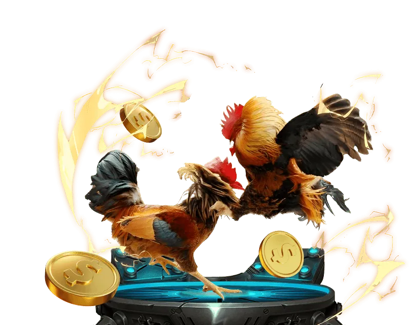 Kèo Wala trong đá gà trực tuyến